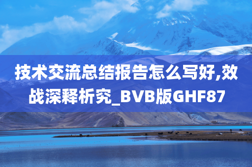 技术交流总结报告怎么写好,效战深释析究_BVB版GHF87