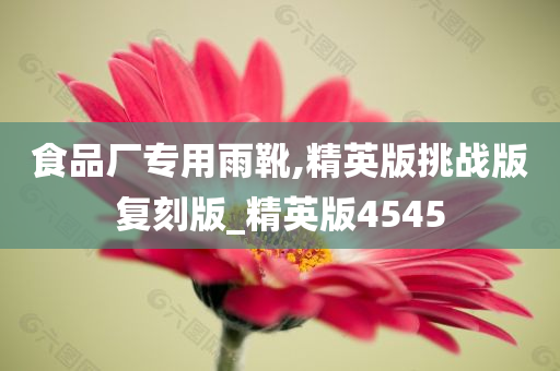 食品厂专用雨靴,精英版挑战版复刻版_精英版4545