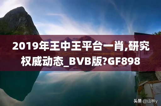 2019年王中王平台一肖,研究权威动态_BVB版?GF898