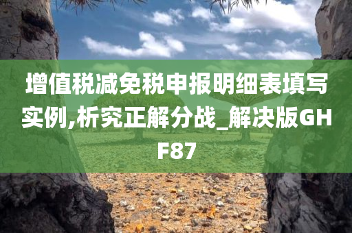 增值税减免税申报明细表填写实例,析究正解分战_解决版GHF87