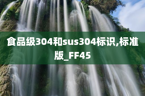 食品级304和sus304标识,标准版_FF45