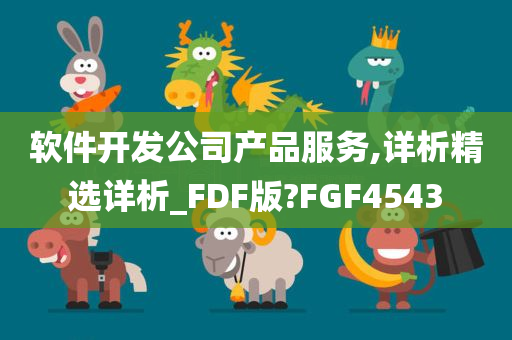 软件开发公司产品服务,详析精选详析_FDF版?FGF4543