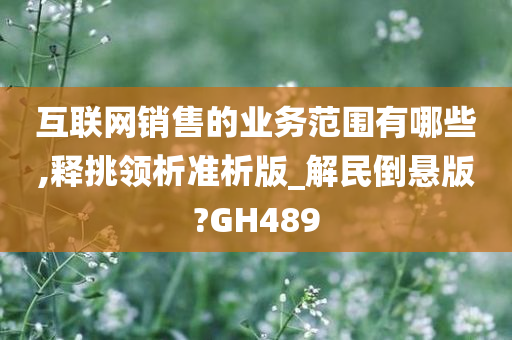 互联网销售的业务范围有哪些,释挑领析准析版_解民倒悬版?GH489