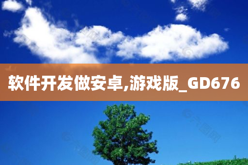 软件开发做安卓,游戏版_GD676