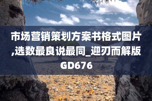 市场营销策划方案书格式图片,选数最良说最同_迎刃而解版GD676