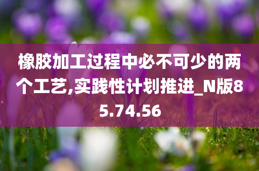 橡胶加工过程中必不可少的两个工艺,实践性计划推进_N版85.74.56