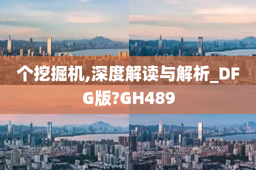 个挖掘机,深度解读与解析_DFG版?GH489