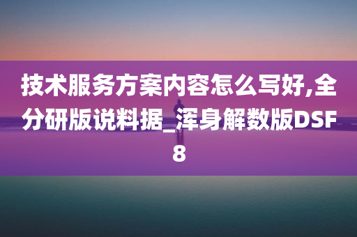 技术服务方案内容怎么写好,全分研版说料据_浑身解数版DSF8