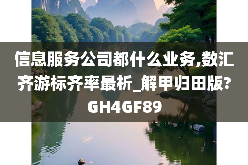 信息服务公司都什么业务,数汇齐游标齐率最析_解甲归田版?GH4GF89