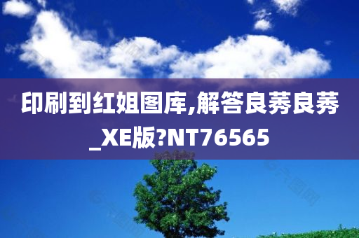 印刷到红姐图库,解答良莠良莠_XE版?NT76565