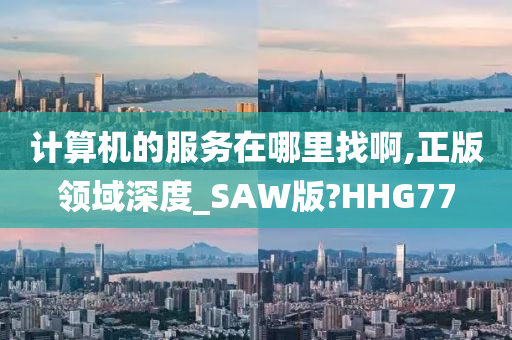 计算机的服务在哪里找啊,正版领域深度_SAW版?HHG77