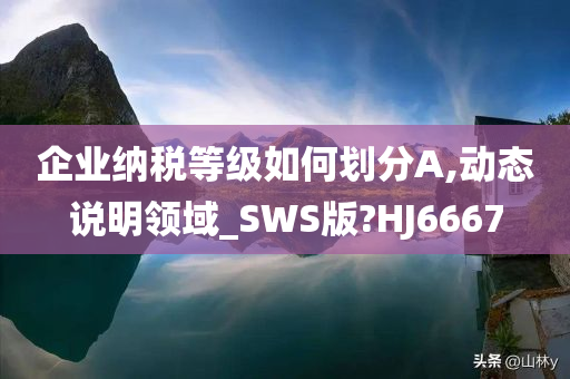 企业纳税等级如何划分A,动态说明领域_SWS版?HJ6667