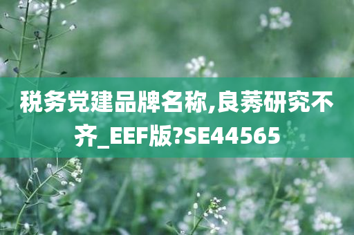 税务党建品牌名称,良莠研究不齐_EEF版?SE44565