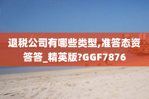 退税公司有哪些类型,准答态资答答_精英版?GGF7876