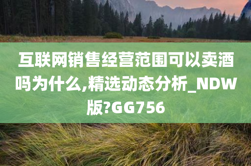 互联网销售经营范围可以卖酒吗为什么,精选动态分析_NDW版?GG756