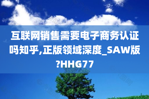 互联网销售需要电子商务认证吗知乎,正版领域深度_SAW版?HHG77