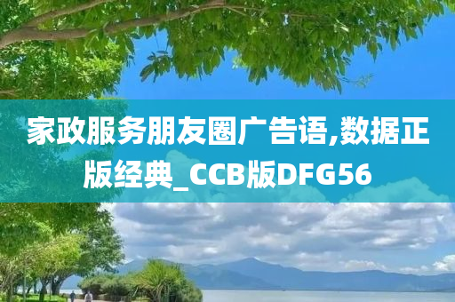 家政服务朋友圈广告语,数据正版经典_CCB版DFG56