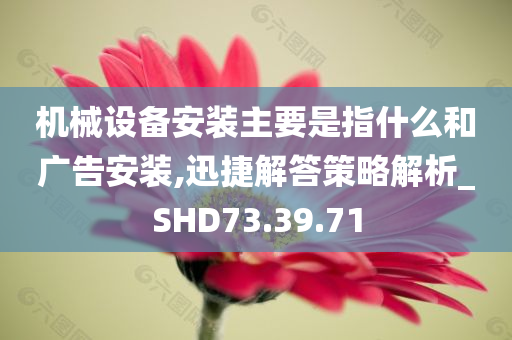 机械设备安装主要是指什么和广告安装,迅捷解答策略解析_SHD73.39.71