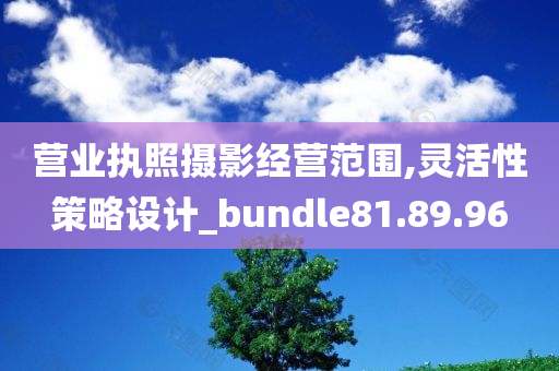 营业执照摄影经营范围,灵活性策略设计_bundle81.89.96