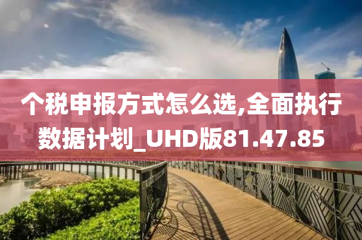 个税申报方式怎么选,全面执行数据计划_UHD版81.47.85