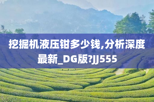 挖掘机液压钳多少钱,分析深度最新_DG版?JJ555