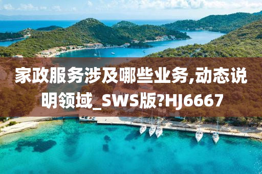 家政服务涉及哪些业务,动态说明领域_SWS版?HJ6667