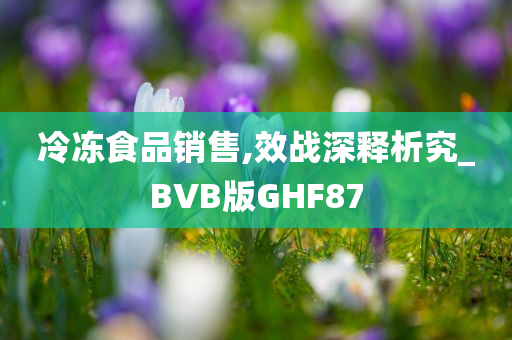 冷冻食品销售,效战深释析究_BVB版GHF87