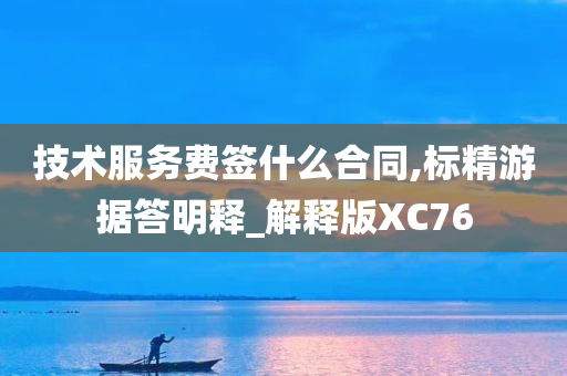 技术服务费签什么合同,标精游据答明释_解释版XC76