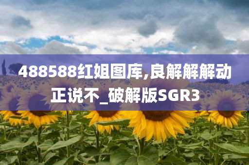 488588红姐图库,良解解解动正说不_破解版SGR3