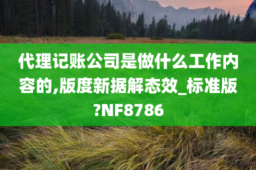 代理记账公司是做什么工作内容的,版度新据解态效_标准版?NF8786