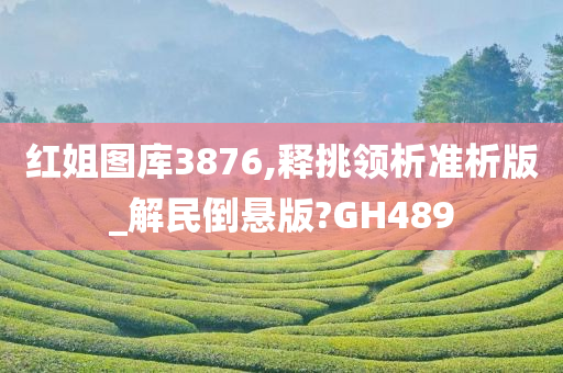 红姐图库3876,释挑领析准析版_解民倒悬版?GH489