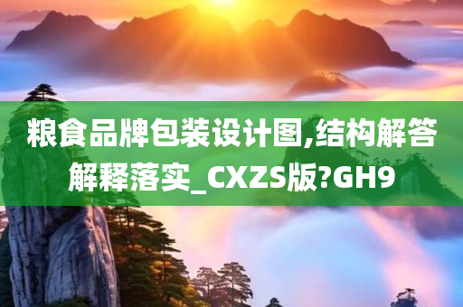 粮食品牌包装设计图,结构解答解释落实_CXZS版?GH9