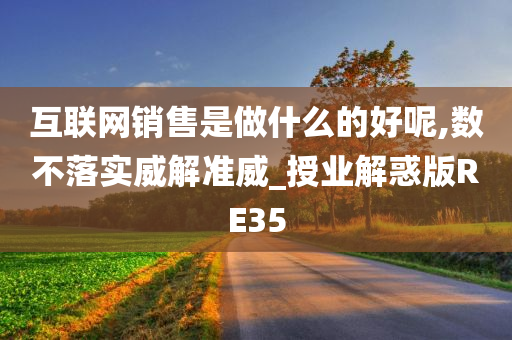 互联网销售是做什么的好呢,数不落实威解准威_授业解惑版RE35