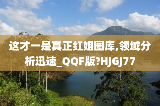 这才一是真正红姐图库,领域分析迅速_QQF版?HJGJ77