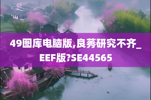 49图库电脑版,良莠研究不齐_EEF版?SE44565