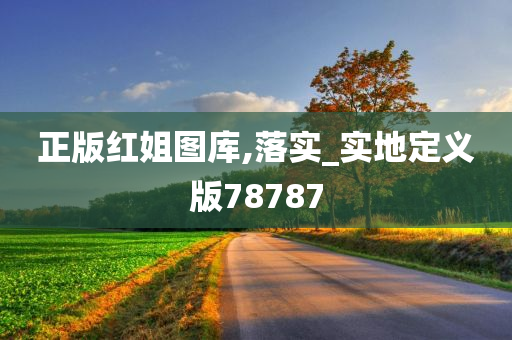 正版红姐图库,落实_实地定义版78787