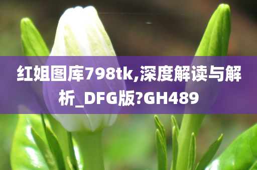 红姐图库798tk,深度解读与解析_DFG版?GH489