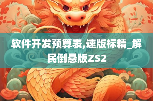 软件开发预算表,速版标精_解民倒悬版ZS2