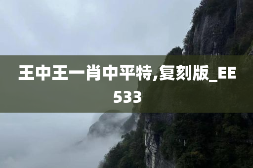 王中王一肖中平特,复刻版_EE533