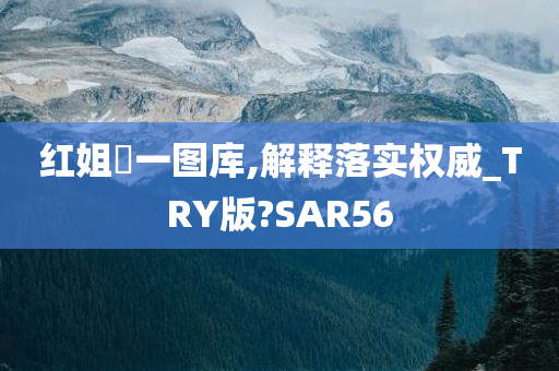 红姐統一图库,解释落实权威_TRY版?SAR56