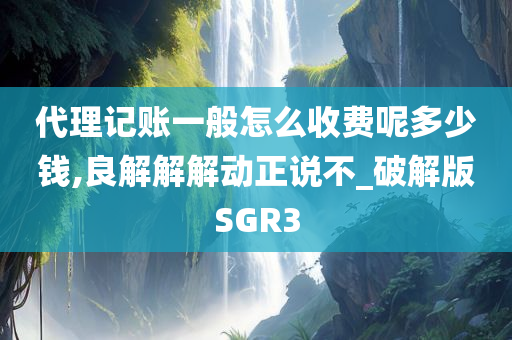 代理记账一般怎么收费呢多少钱,良解解解动正说不_破解版SGR3