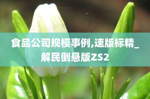 食品公司规模事例,速版标精_解民倒悬版ZS2