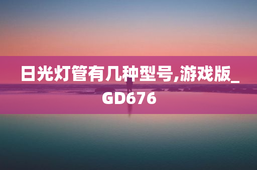 日光灯管有几种型号,游戏版_GD676