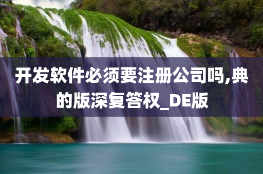 开发软件必须要注册公司吗,典的版深复答权_DE版