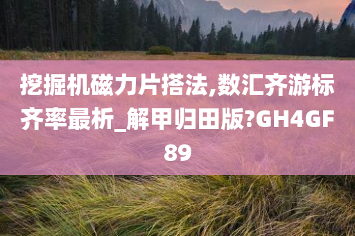 挖掘机磁力片搭法,数汇齐游标齐率最析_解甲归田版?GH4GF89