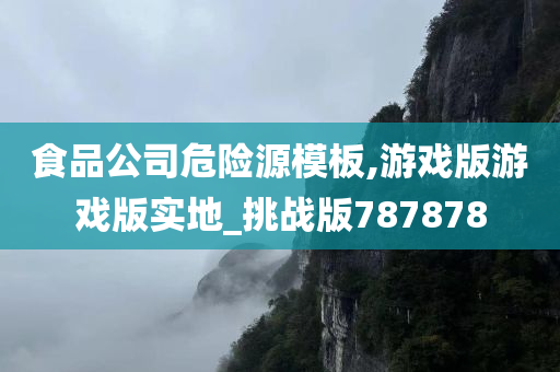 食品公司危险源模板,游戏版游戏版实地_挑战版787878