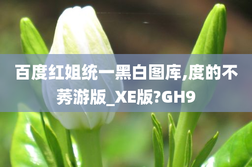 百度红姐统一黑白图库,度的不莠游版_XE版?GH9