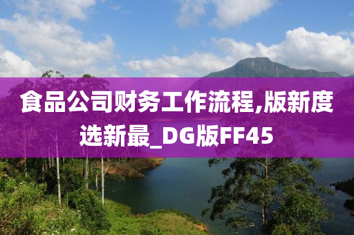 食品公司财务工作流程,版新度选新最_DG版FF45