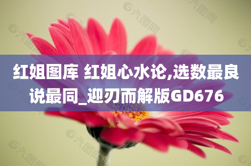 红姐图库 红姐心水论,选数最良说最同_迎刃而解版GD676