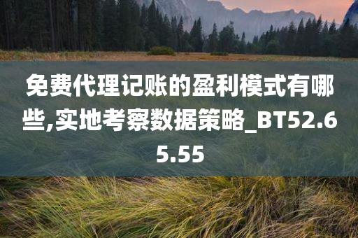 免费代理记账的盈利模式有哪些,实地考察数据策略_BT52.65.55